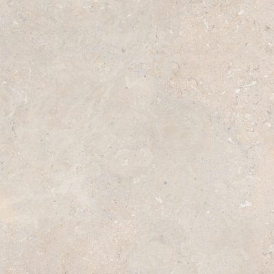 SALERNO_IVORY_FACE1